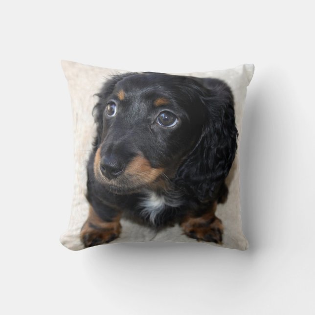 Cojín Decorativo Perro porcino de Dachshund negro (Anverso)