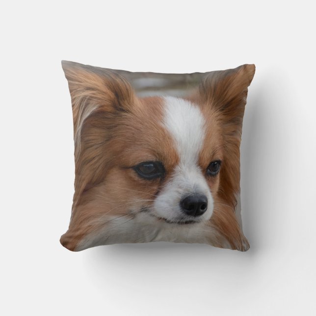 Cojín Decorativo Perro porcino de Papilón amistoso (Anverso)