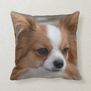 Cojín Decorativo Perro porcino de Papilón amistoso