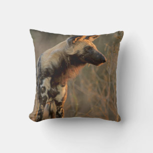 Cojín Decorativo Perro salvaje africano (Lycaon Pictus), Kruger
