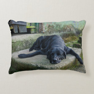 Cojín Decorativo Perro soñoliento