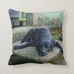 Cojín Decorativo Perro soñoliento