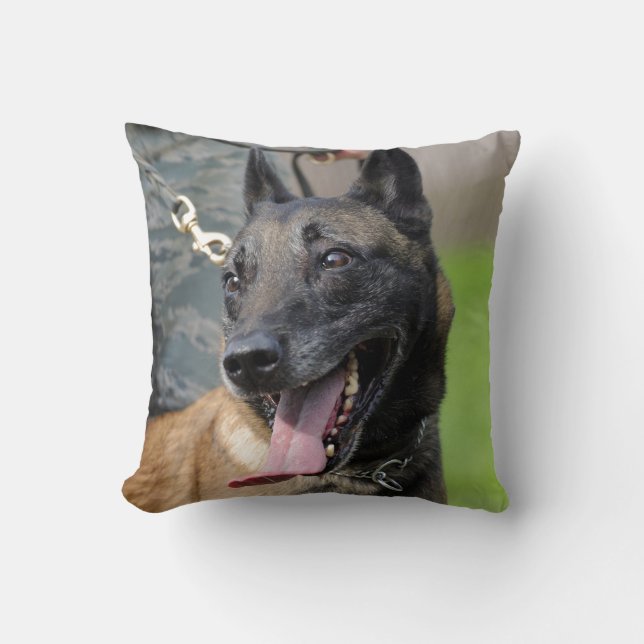 Cojín Decorativo Perro sonriente de Malinois del belga (Anverso)
