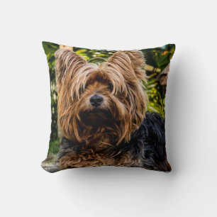 Cojín Decorativo Perro Terrier de Yorkshire
