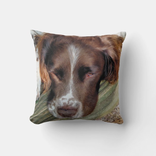 COJÍN DECORATIVO PERROS (Anverso)