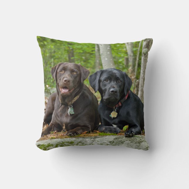 Cojín Decorativo Perros cachorros Black Lab Chocolate Labrador Recu (Anverso)