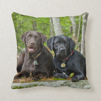 Cojín Decorativo Perros cachorros Black Lab Chocolate Labrador Recu