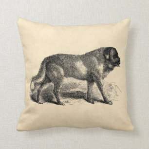 Cojín Decorativo Perros de Bernards del santo de los 1800s del