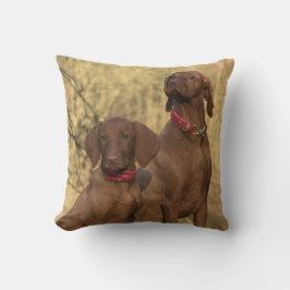 Cojín Decorativo Perros de la colección Vizsla - Cazando límites -
