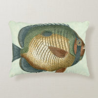 Pescado colorido grande