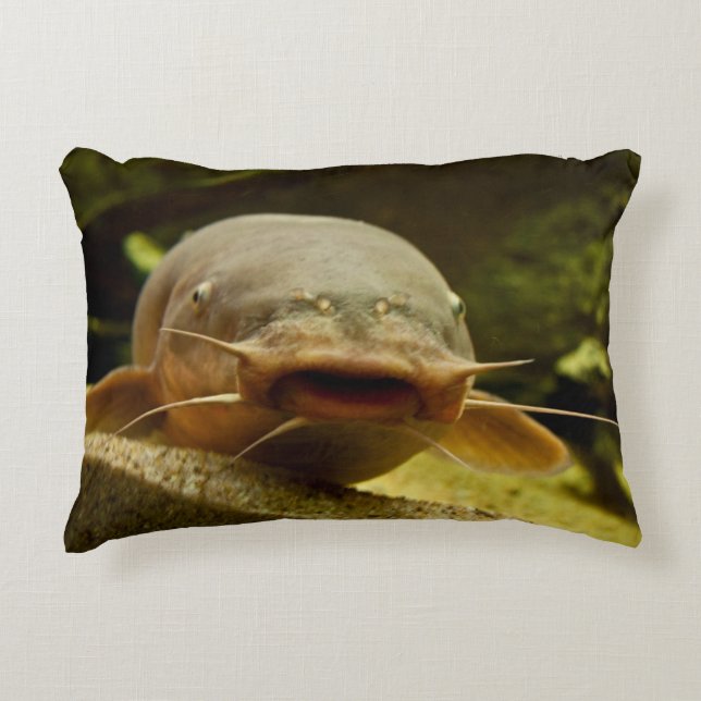 Cojín Decorativo Pescado eléctrico (Anverso)