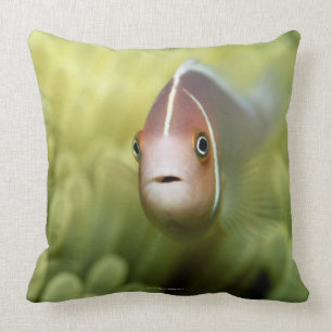 Cojín Decorativo Pescados de anémona rosados