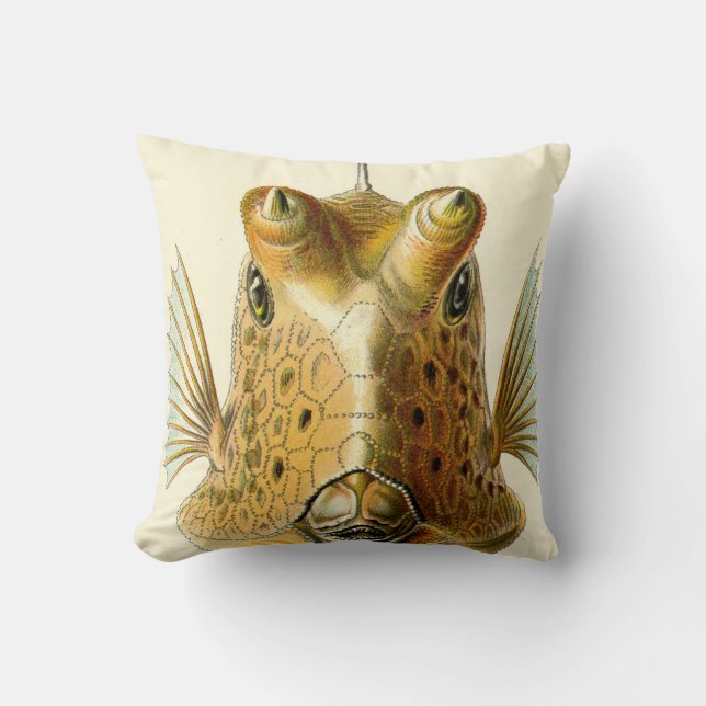 Cojín Decorativo Pescados de cuernos extraños (Anverso)