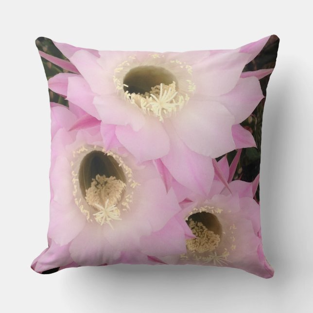 Cojín Decorativo pétalos rosados del desierto (Anverso)