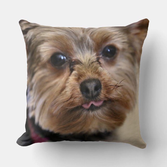 Cojín Decorativo ¡Pfft! (Anverso)