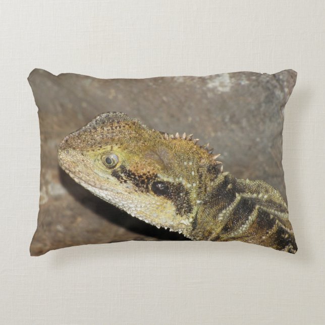 Cojín Decorativo picar (Anverso)