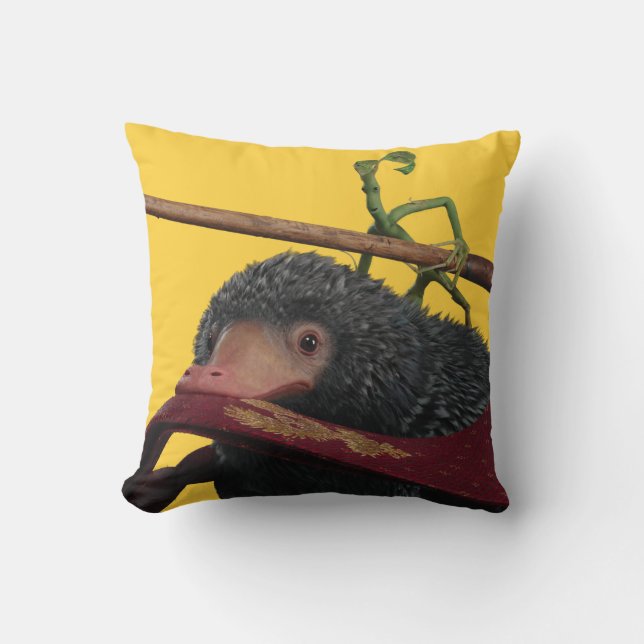 Cojín Decorativo Pickett & Teddy With Wand and Tie (Anverso)