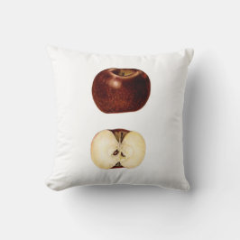 Cojín Decorativo Pieza de Apple