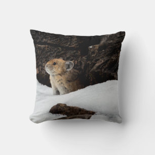 Cojín Decorativo Pika americana en la nieve