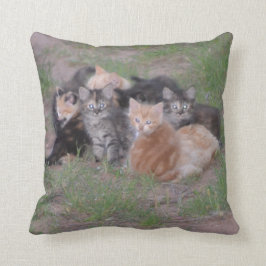 Cojín Decorativo Pila de gatitos