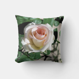 Cojín Decorativo Pilar blanco rosa del centro rosa de 16" x 16"