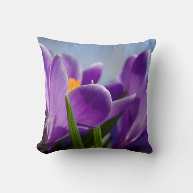 Cojín Decorativo Pilar Crocus de primavera y Funda (Anverso)