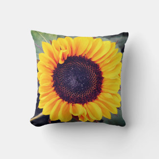Cojín Decorativo Pilar de belleza de girasol