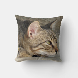 Cojín Decorativo Pilar de gato de Tabby