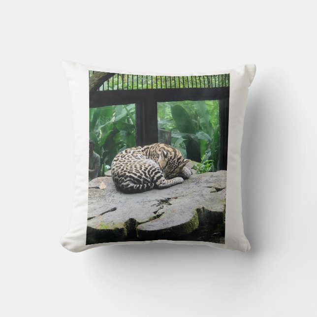 Cojín Decorativo Pilar de gato grande durmiendo (Anverso)