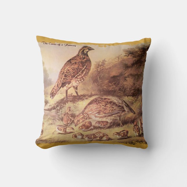 Cojín Decorativo Pilar de la familia Quail (Anverso)