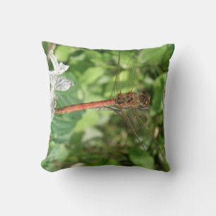Cojín Decorativo Pilar de la libélula negra común