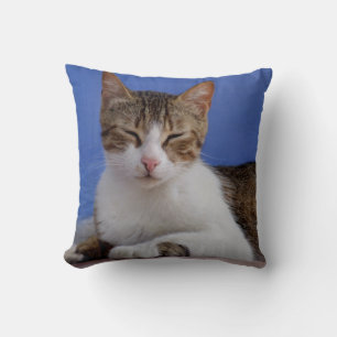 Cojín Decorativo Pilar gato griego