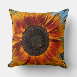 Cojín Decorativo Pilar girasol