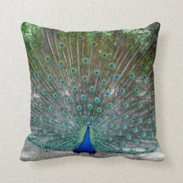 Cojín Decorativo Pilar Peacock Throw