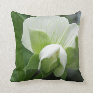 Cojín Decorativo Pilar verde y blanco ~ foto original de alta resol