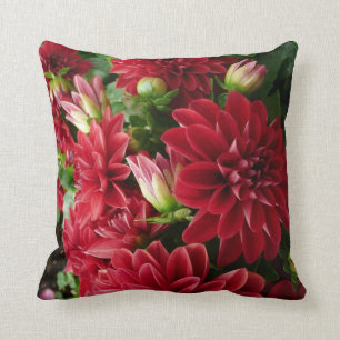 Cojín Decorativo Pilliow rojo del crisantemo con la parte posterior