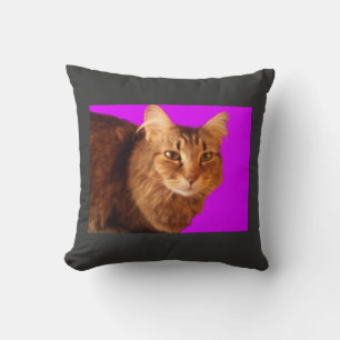 Cojín Decorativo Pillow Cat 14