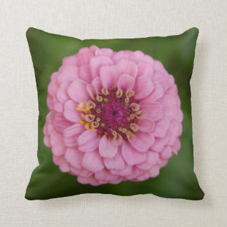 Cojín Decorativo Pillow Dahlia rosa