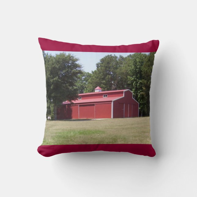 Cojín Decorativo Pillow de Barro Rojo (Anverso)