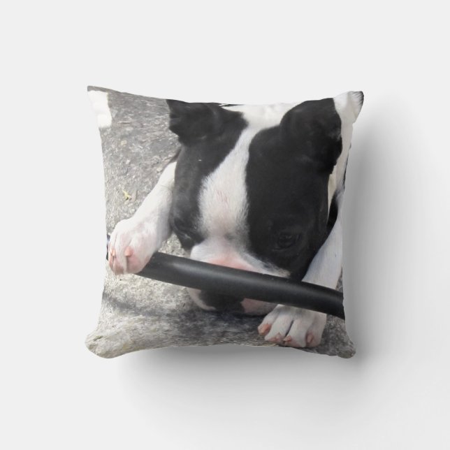 Cojín Decorativo Pillow de Boston Terrier (Anverso)