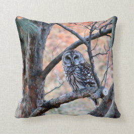 Cojín Decorativo Pillow de búho barred