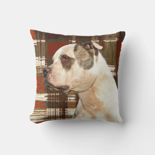Cojín Decorativo Pillow de Bulldog americano