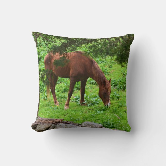 Cojín Decorativo Pillow de caballo (Anverso)