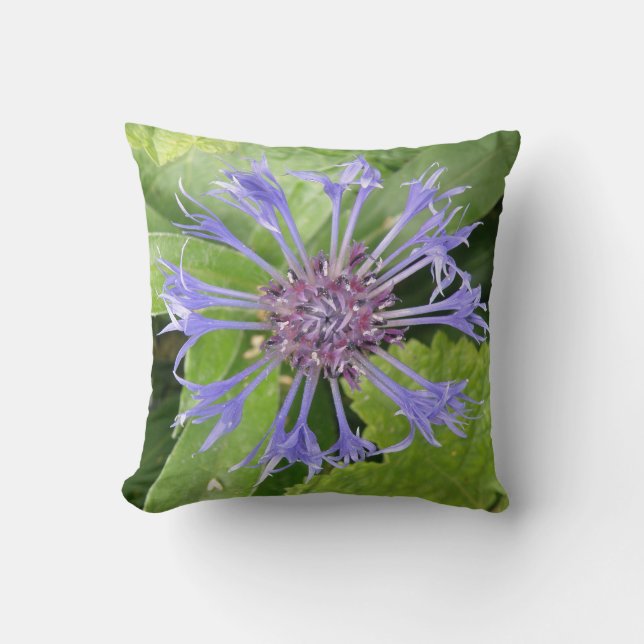 Cojín Decorativo Pillow de Cornflower Azul (Anverso)