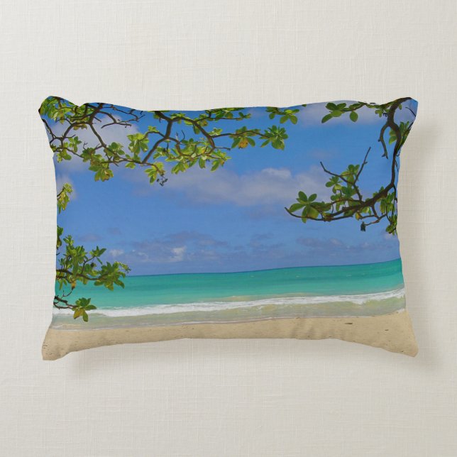 Cojín Decorativo Pillow de énfasis (Anverso)