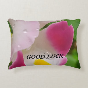 Cojín Decorativo Pillow de énfasis