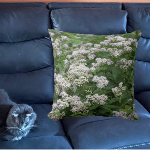 Cojín Decorativo Pillow de flores silvestres blancas