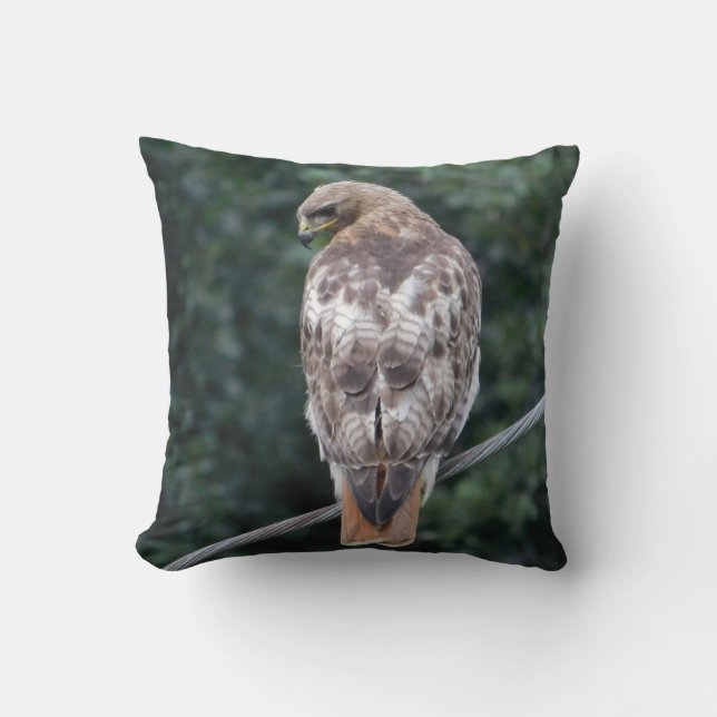 Cojín Decorativo Pillow de las plumas de espalda del halcón rojo (Anverso)