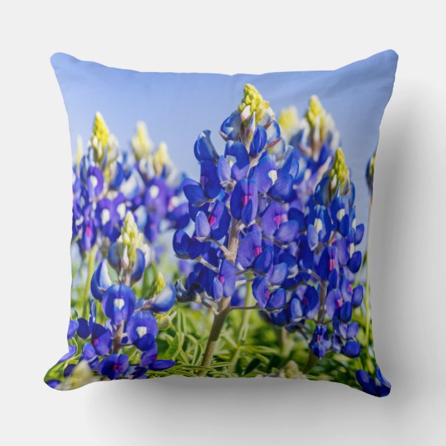 Cojín Decorativo Pillow de los Bluebonnets de Texas (Anverso)