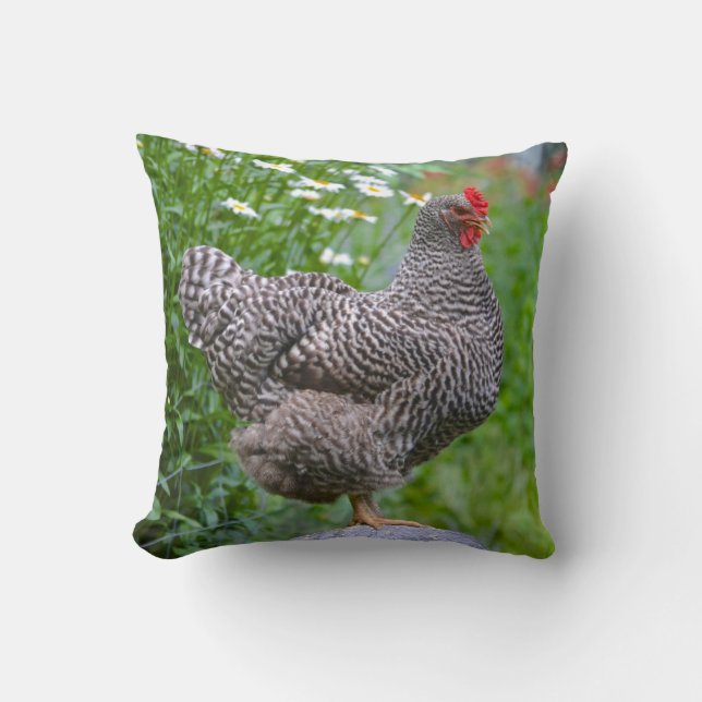 Cojín Decorativo Pillow de pollo (Anverso)